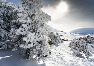 Locura primaveral camino del Domingo de Ramos: sorpresa tras la nieve