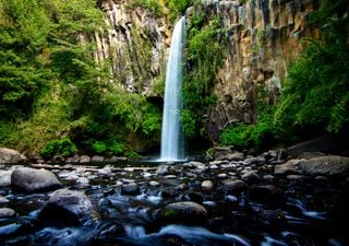 Siguiendo el curso del Río Cautín: una ruta entre bosques, volcanes y culturas ancestrales en La Araucanía