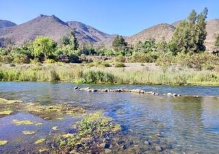 Siguiendo el curso del Río Elqui: una ruta entre viñedos, pisqueras y culturas ancestrales