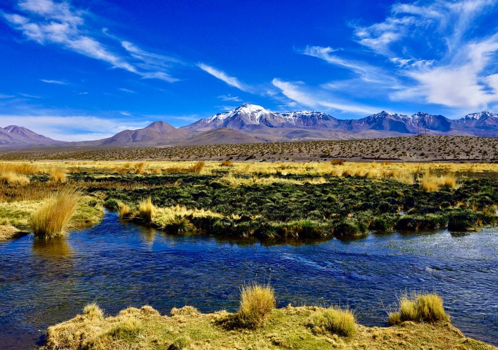 Parque Nacional Volcán Isluga de la Región de Tarapacá.