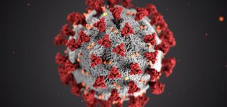 Simulaciones de evolución del coronavirus según escenarios climáticos