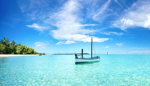 Sin peces y con aguas c&aacute;lidas: desaparece por primera vez en 40 a&ntilde;os el fen&oacute;meno que da vida al Golfo de Panam&aacute;