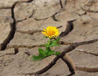 Sin perspectivas de precipitaciones generalizadas para febrero