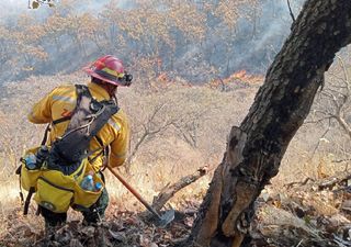 Miles de hectáreas siniestradas por incendios forestales en México