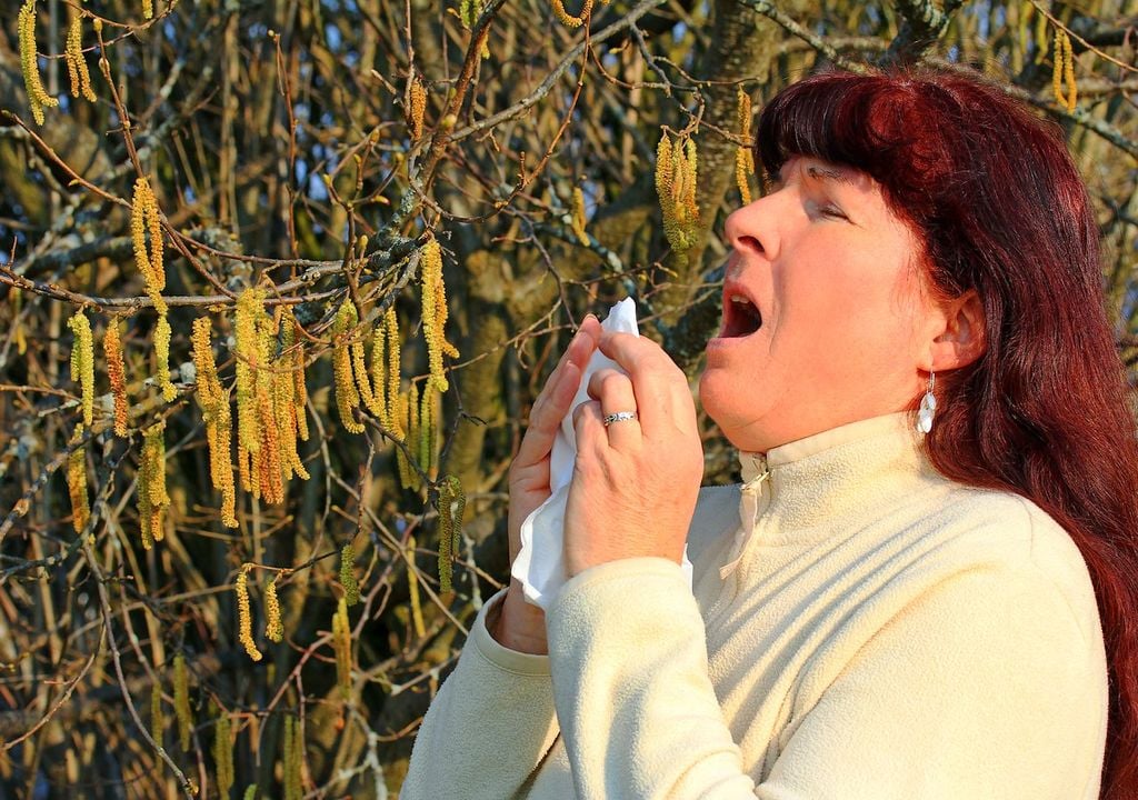 Alergia primaveral