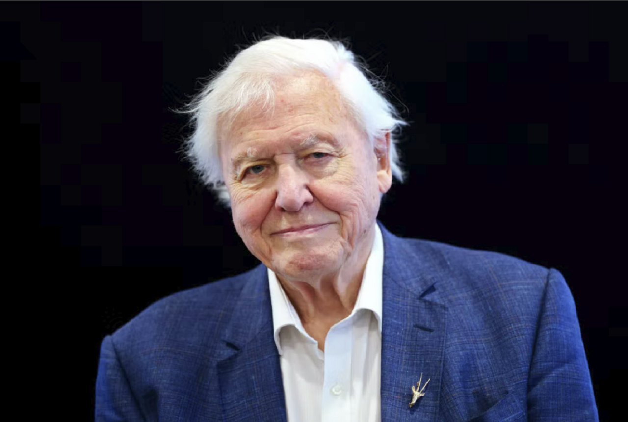 Sir David Attenborough urges UK to "act now" to stop nature devastation