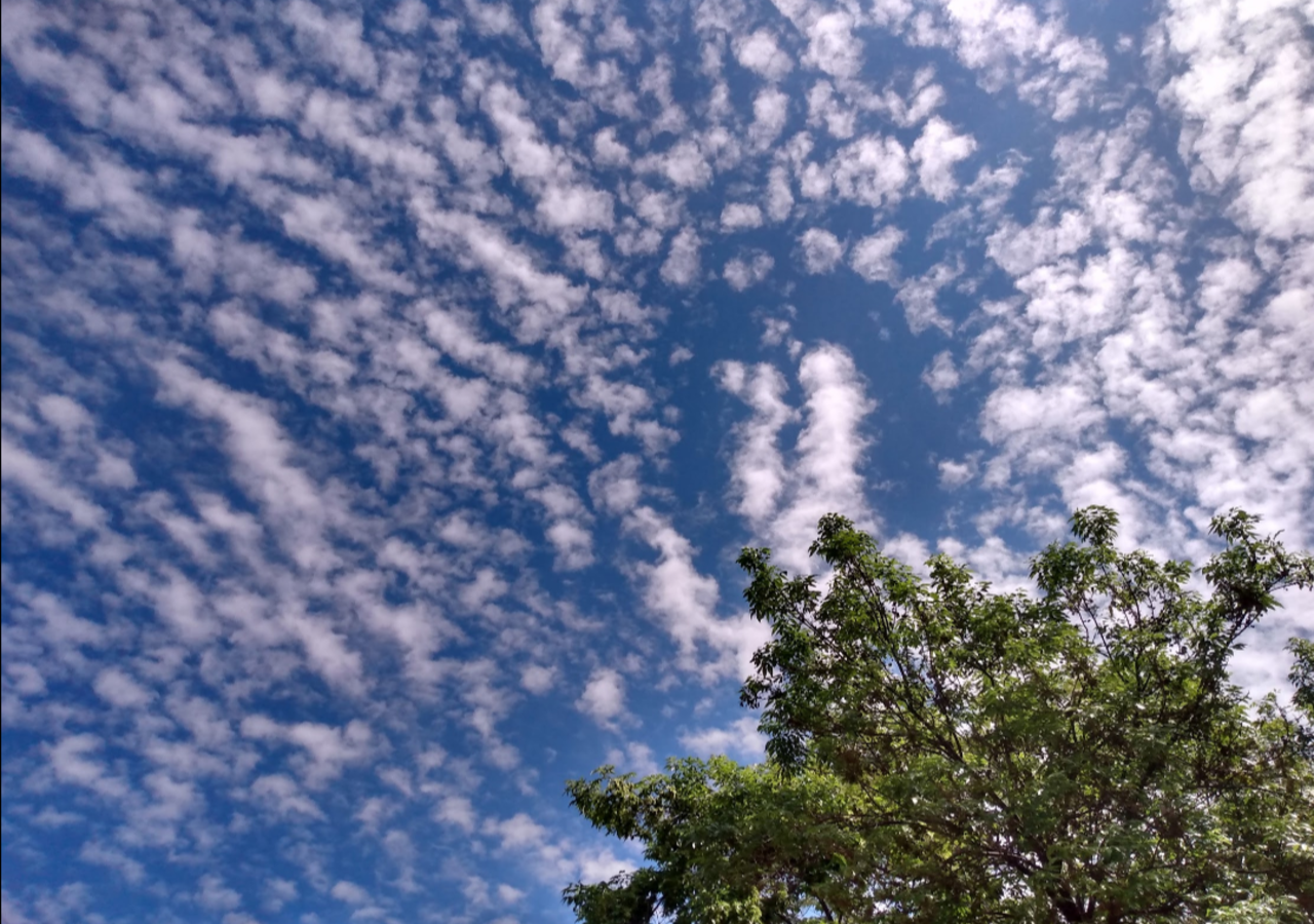 Nube del género cirrocúmulo en el cielo de la Ciudad de México (Imagen: Orlando Aurquia).
