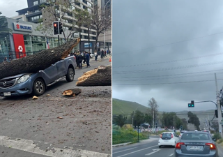Sistema frontal en Santiago dejó estragos: se reportaron arboles caídos, tormentas electricas, granizos y lluvias 