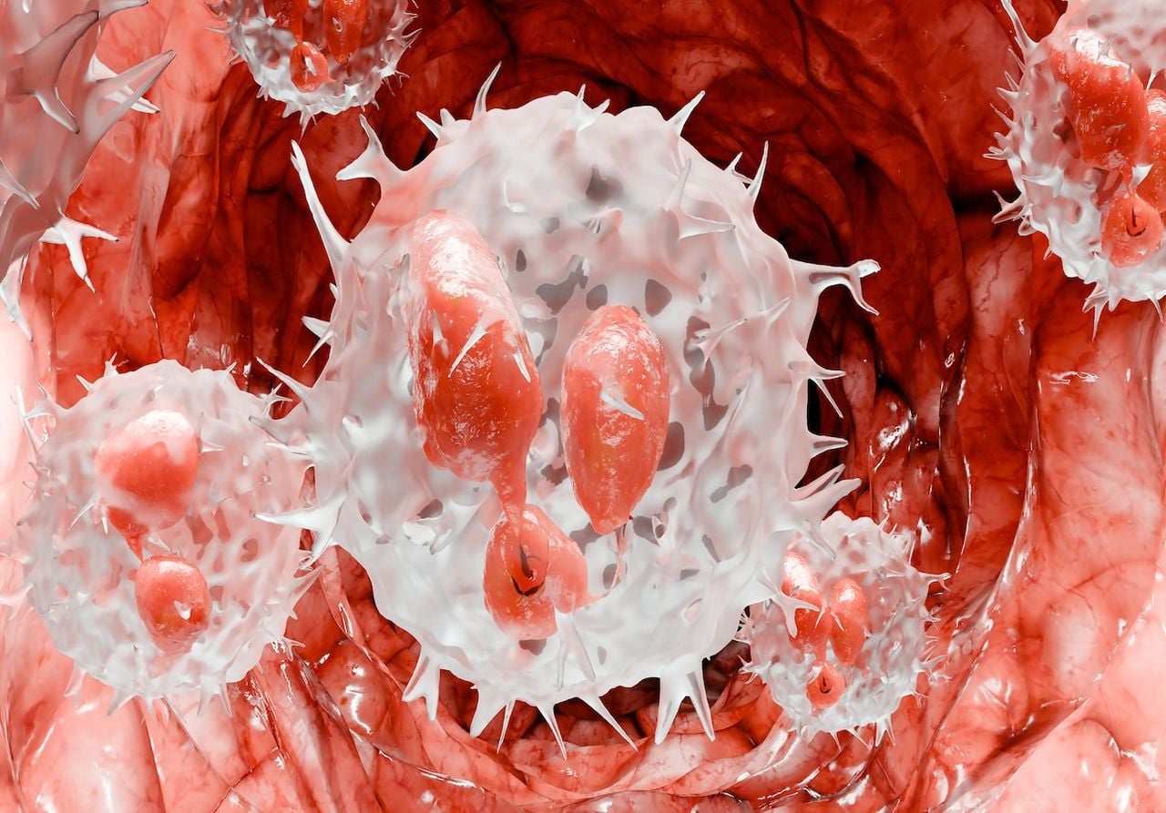 Cientistas descobriram que as células T reguladoras podem reparar danos em partes específicas do corpo humano.