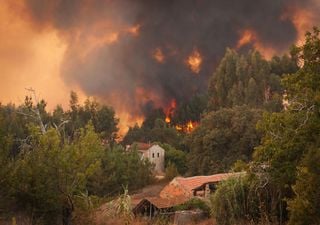 Google financia sistema pioneiro de deteção de incêndios