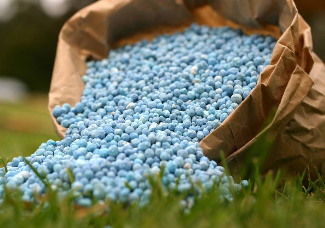 O sistema Valorfito é responsável pela gestão de resíduos de embalagens de produtos fitofarmacêuticos, biocidas, sementes, fertilizantes, rações e batata de semente.