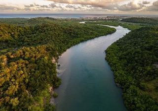 Situação dos rios na Mata Atlântica é muito preocupante, aponta pesquisa