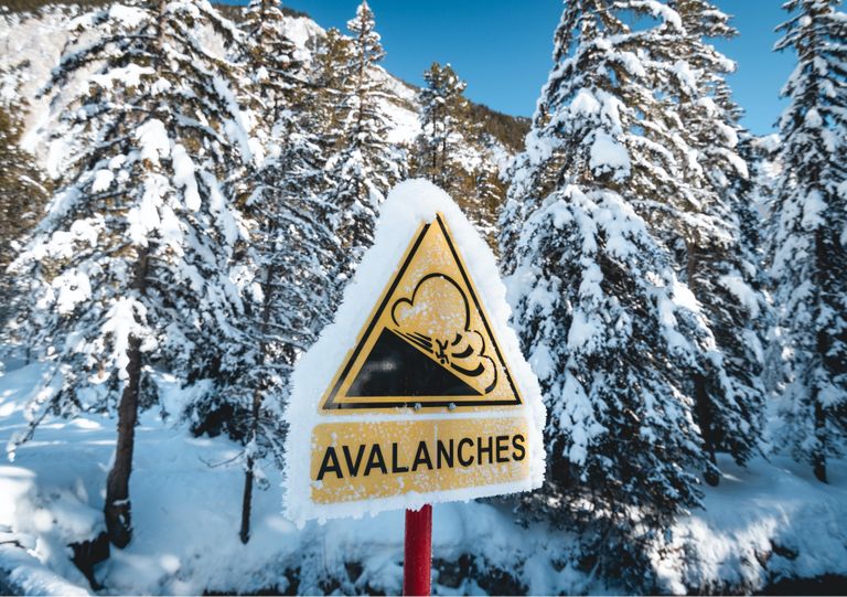 avalanches avalanches