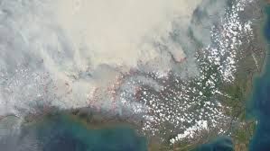 Smog asesino: más de 100.000 muertes prematuras