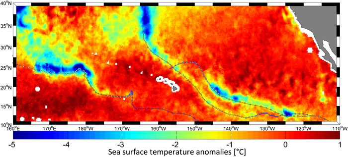 Smos Conoce A Los Monstruos Del Océano Los huracanes alteran la temperatura de la superficie del mar