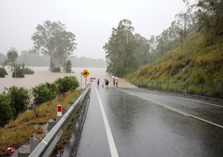 Snake sightings soar in south-east Australia as states hit by new floods