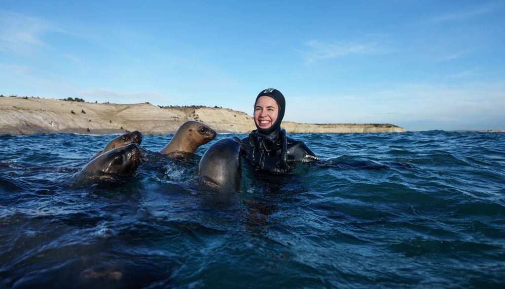 Puerto Madryn bajo el agua: la inolvidable experiencia de nadar con lobos marinos Puerto Madryn bajo el agua: la inolvidable experiencia de nadar con lobos marinos