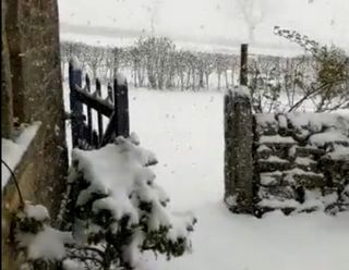 Snow falls in parts of UK as winter bites back