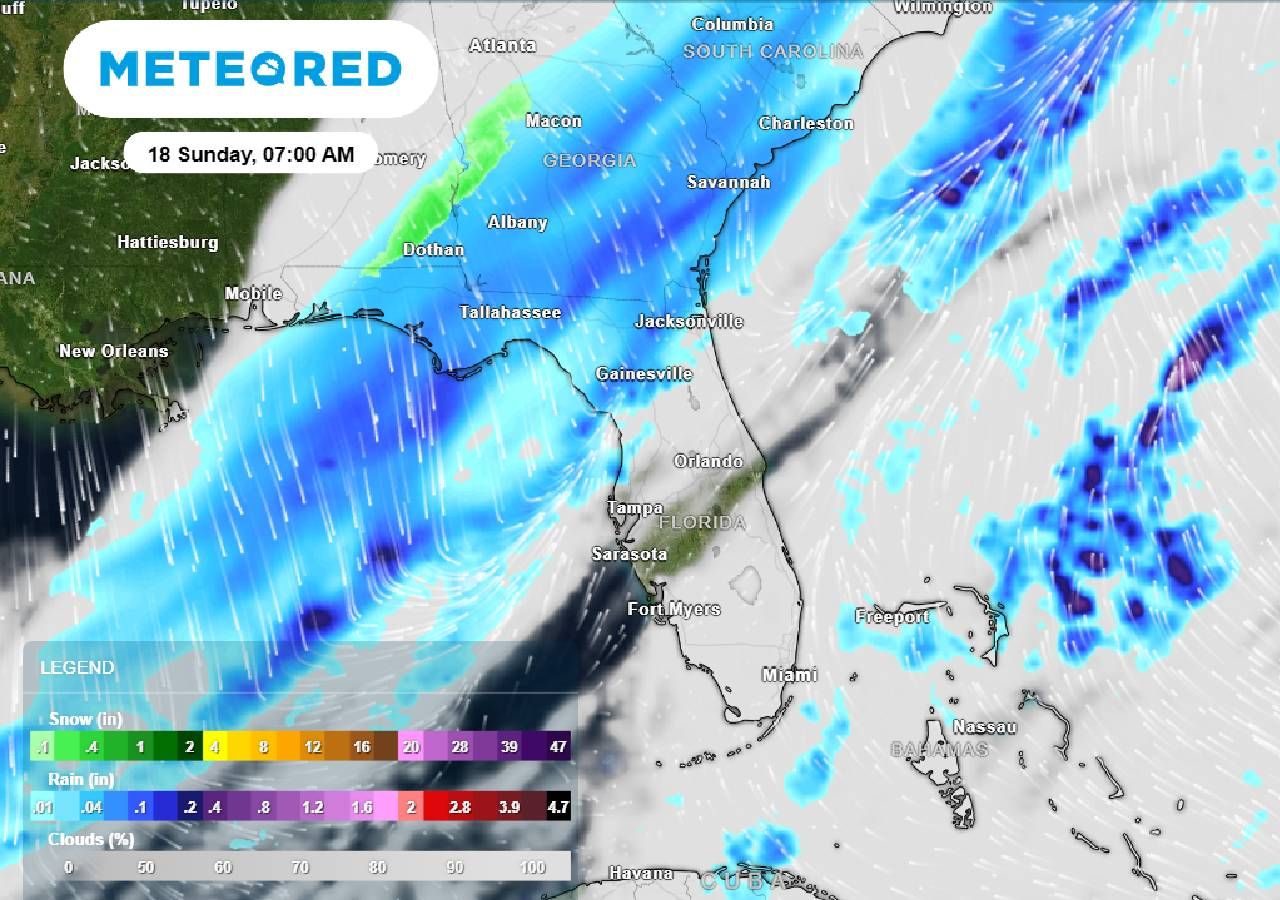 Snowflakes in the Sunshine State? Arctic Blast Brings Rare Wintry Chance
