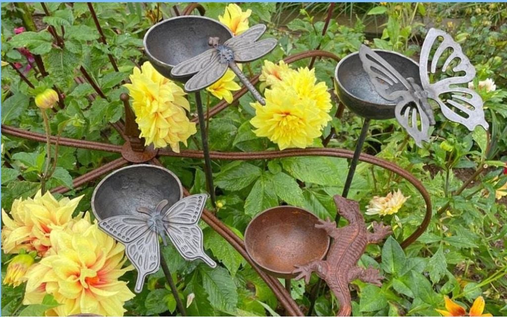 biene, natur, tränke Bienen-Tränken sind nicht nur gut für Bienen, Schmetterlinge und andere Bestäuber, sondern auch für Vögel. Diese kleinen Tränken bieten Gärtnern zudem die Möglichkeit, ihre Beete auf kreative und artenvielfaltfördernde Weise zu gestalten.