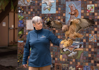 Soaring to new heights in research: UC Davis receives funding to launch innovative bird flight research centre