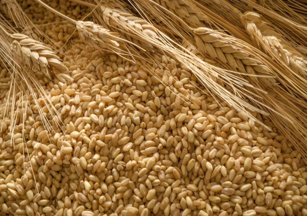 Cereais Cereais