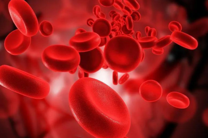 Imagen de archivo de los glóbulos rojos en la sangre humana. Fuente: Clinical Haematology