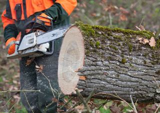 Chile será el primer país latinoamericano con sobregiro ecológico 2022