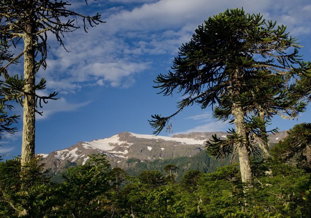parques nacionales parques nacionales