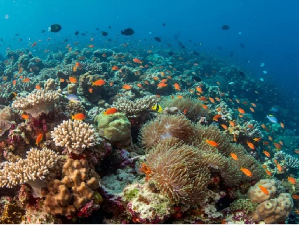 Es un territorio muy importante por su riqueza en biodiversidad.