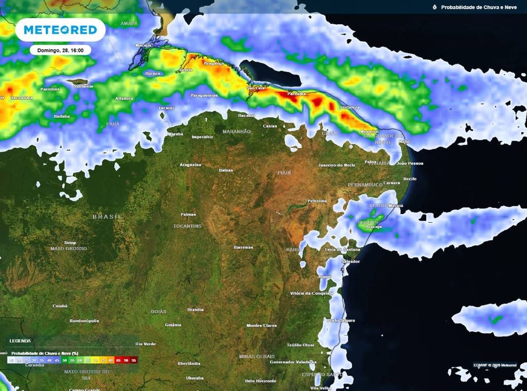 Previsão da probabilidade de precipitação (%) para domingo (28) às 16h , segundo o modelo europeu ECMWF.
