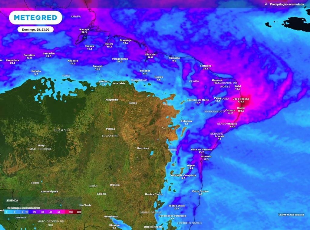Previsão de precipitação acumulada (em mm) entre hoje (26) e a noite (23h) do domingo (28), segundo o modelo europeu ECMWF.