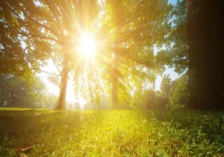 Sol, o 'bombeiro' higienizador