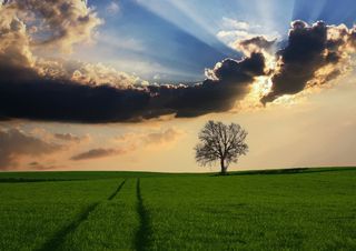 Sole anche il 25 Aprile