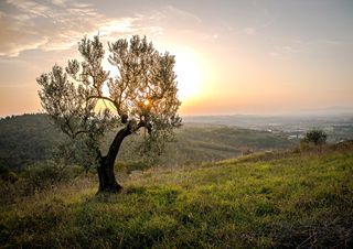 Sole per tutti a Pasquetta