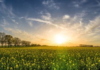 Sole sabato, domenica instabile