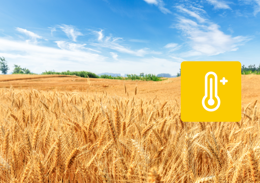 Soleil et chaleur vont revenir en France ! D&eacute;couvrez &agrave; partir de quand et si cela sera durable