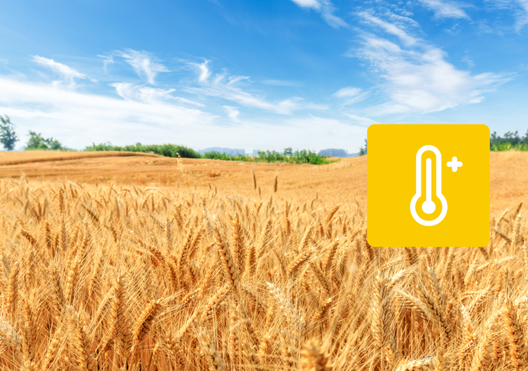 Soleil et chaleur vont revenir en France ! D&eacute;couvrez &agrave; partir de quand et si cela sera durable