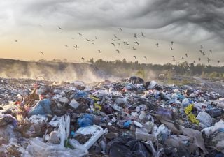 Sólo 20 empresas producen 55% de la contaminación plástica en el mundo