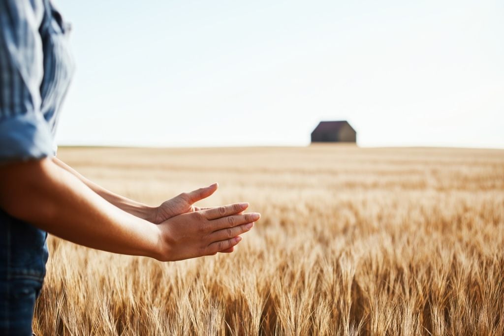 Quentes, cambio climático, mudanças, clima, solo