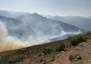 ¡Casi 2,500 hectáreas quemadas! solo en la última semana alrededor del país