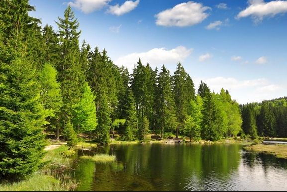 Soluciones Naturales Pueden Reducir El Calentamiento Global