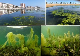 Soluciones para recuperar al Mar Menor