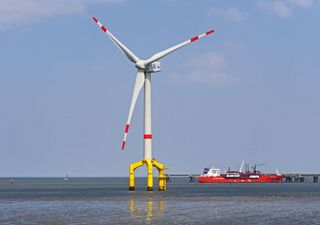 Something hidden from offshore wind farms might alter blue mussels and their environment