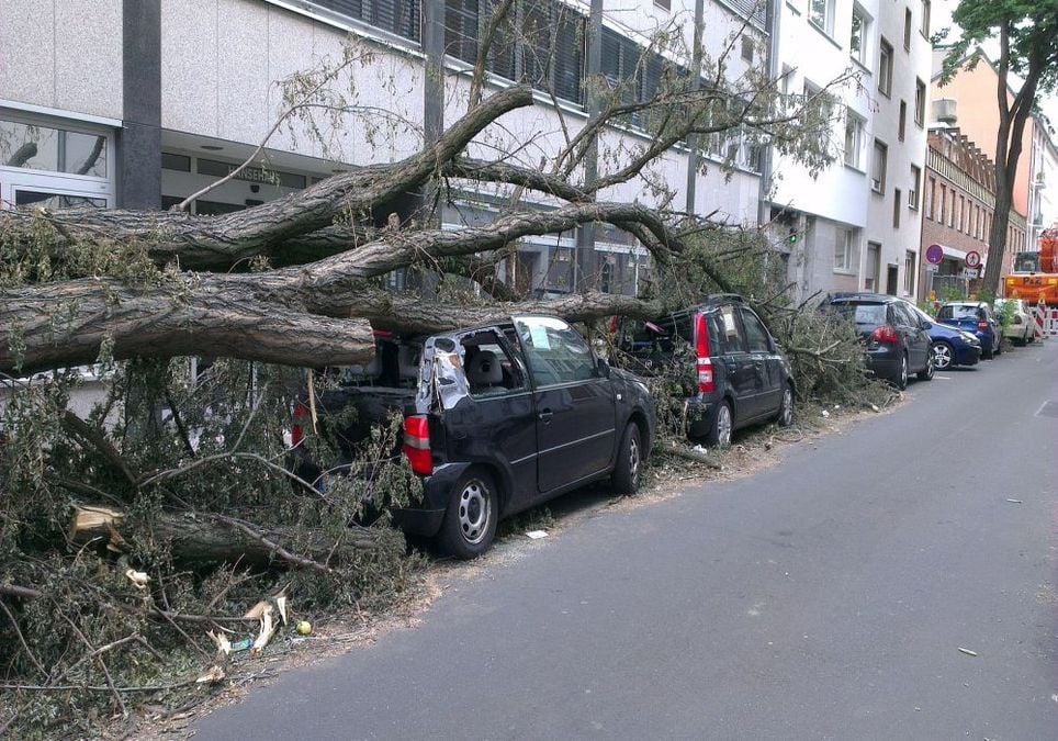Sturm bringt Schäden Sturm bringt Schäden