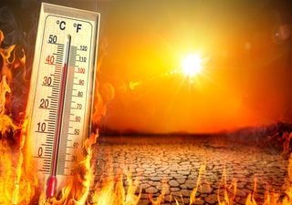 'Höllensommer des Jahrhunderts': Biologe warnt vor angeblichem Extremsommer! Erwartet Deutschland wirklich Rekordhitze?