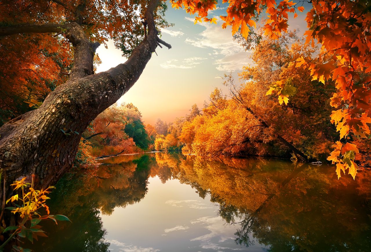 Wann Beginnt Und Endet Das Verflixte 7. Jahr Der Sommer endet! Wann beginnt der Herbst? Der Beginn kann ganz schön