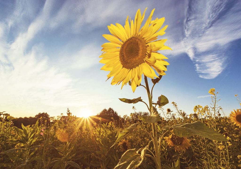 spätsommer, september, deutschland