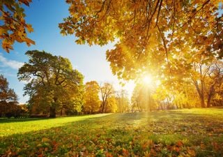 Sommerwetter auch im Oktober? Kommt die Wärme nochmal nach Deutschland zurück?