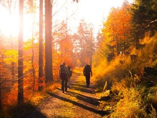 Sommer, Sonne, Sonnenschein - so lange bleibt uns das schöne Altweibersommerwetter laut Experte Habermehl noch erhalten